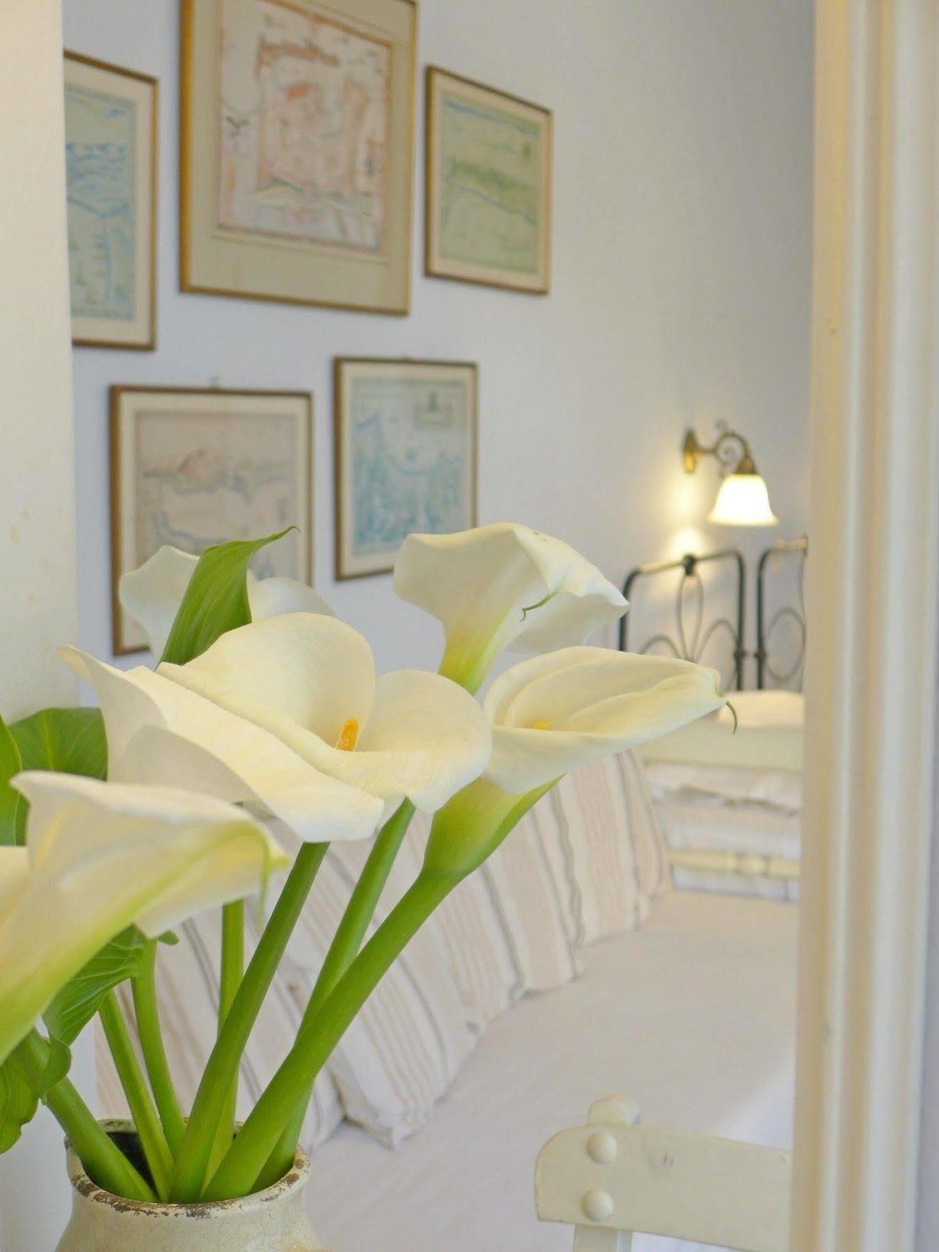 Pension Eva Chania  ภายนอก รูปภาพ